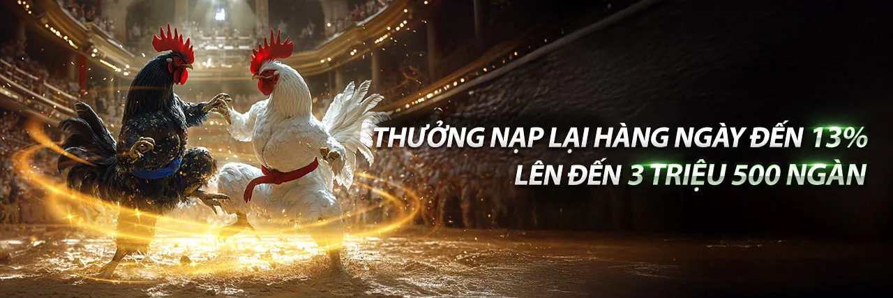Đá gà trực tuyến welcome 123b sân đấu chuyên nghiệp Việt Nam 2026